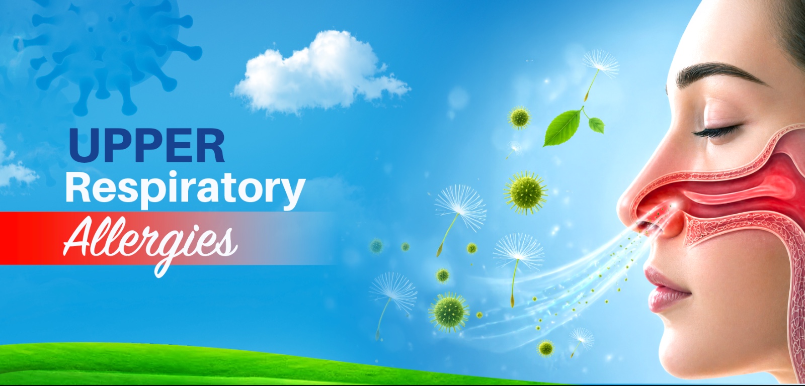 The Allergy Masterclass Course
